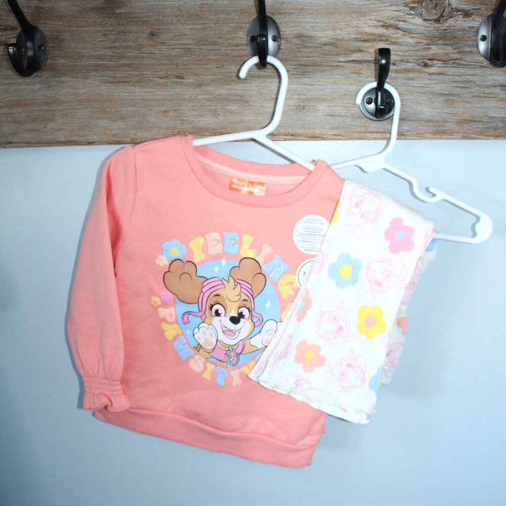 Paw Patrol Skye  2 Piece Top & Pants set